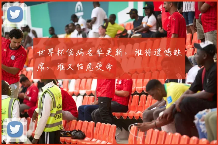 世界杯伤病名单更新,谁将遗憾缺席,谁又临危受命