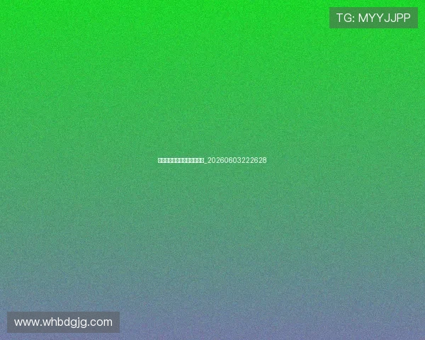 残疾人友好篮球公园设施介绍_20260603222628