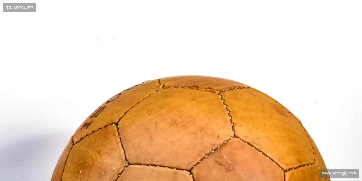 为什么选择我们